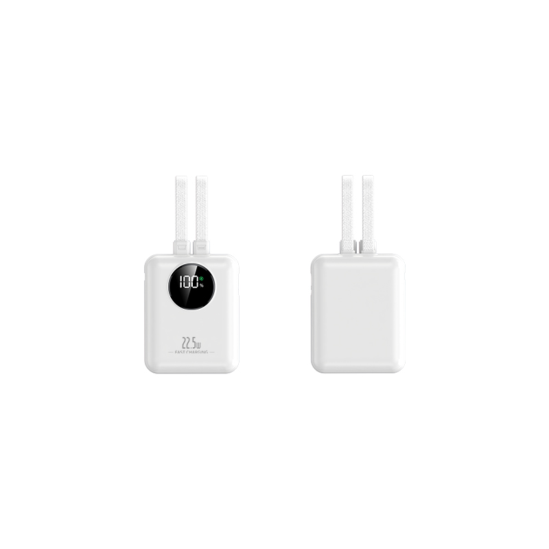 22.5W Fast Charging Power Bank with 2 Data Cables and LED Display