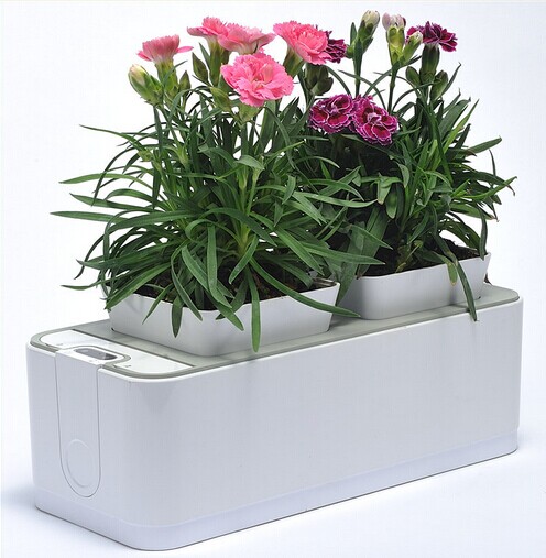 Indoor Rose Grow Light Planter