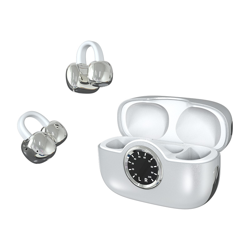 Ai Translator Earbuds with Display Case