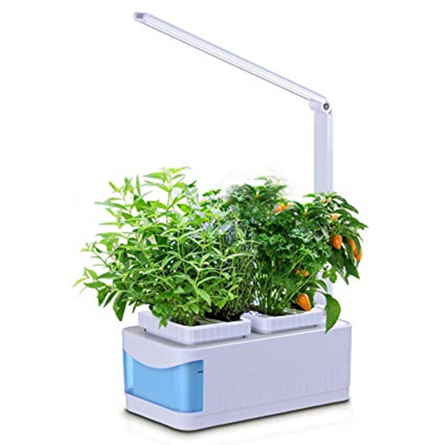 Compact Hydroponic Herb Garden