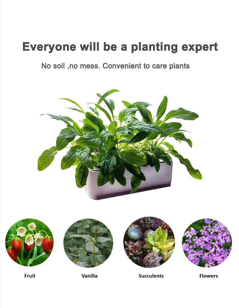 Self-Watering Indoor Herb Planter