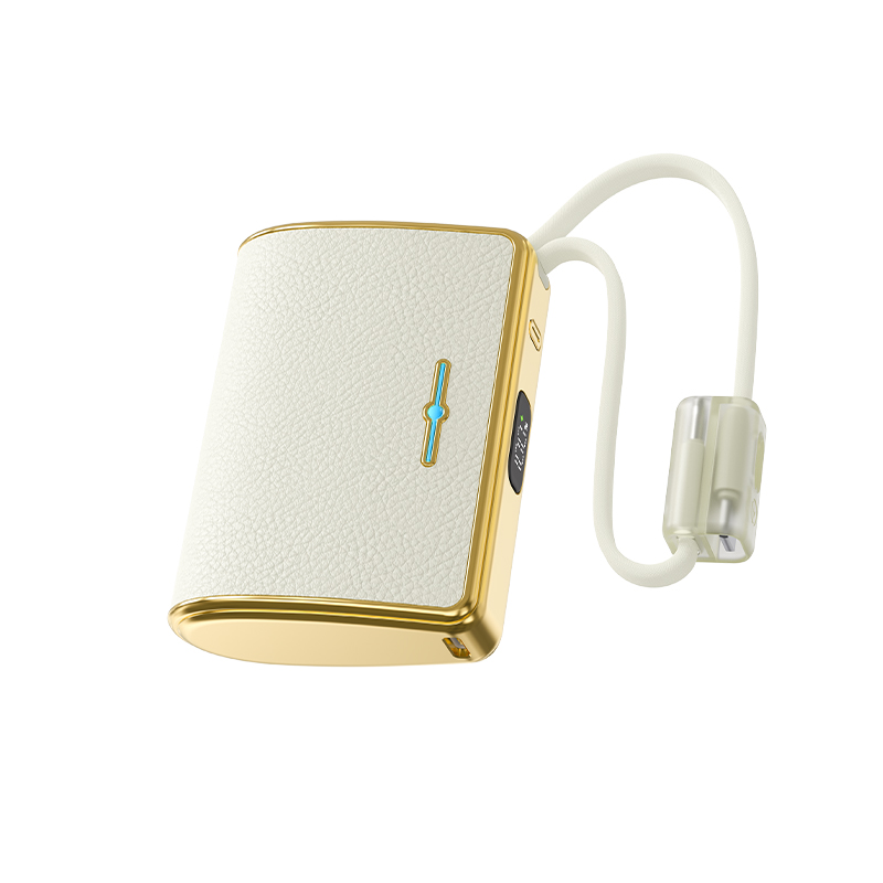 Fashion 10000mAh Leather Power Bank with Cable