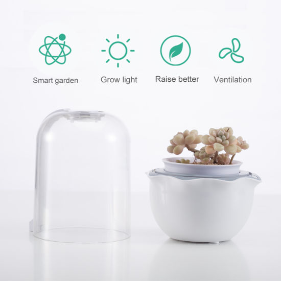 Mini Succulent Grow Light Dome