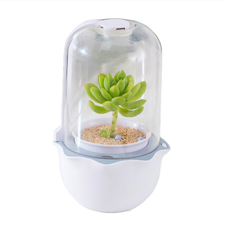 Mini Succulent Grow Light Dome