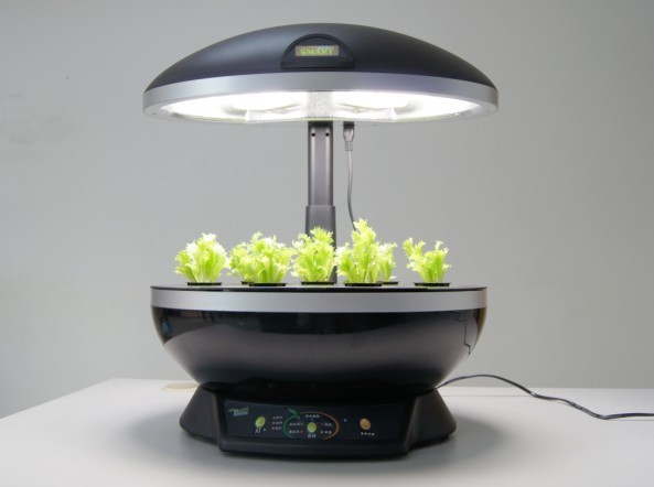 Automatic Indoor Hydroponic Garden