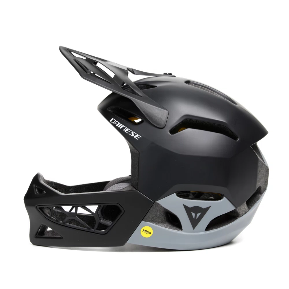 LINEA 01 MIPS
