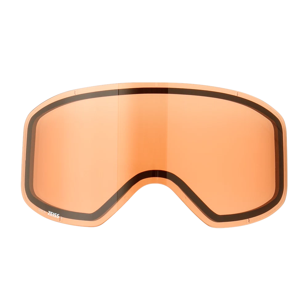 HP HORIZON SKI GOOGLES