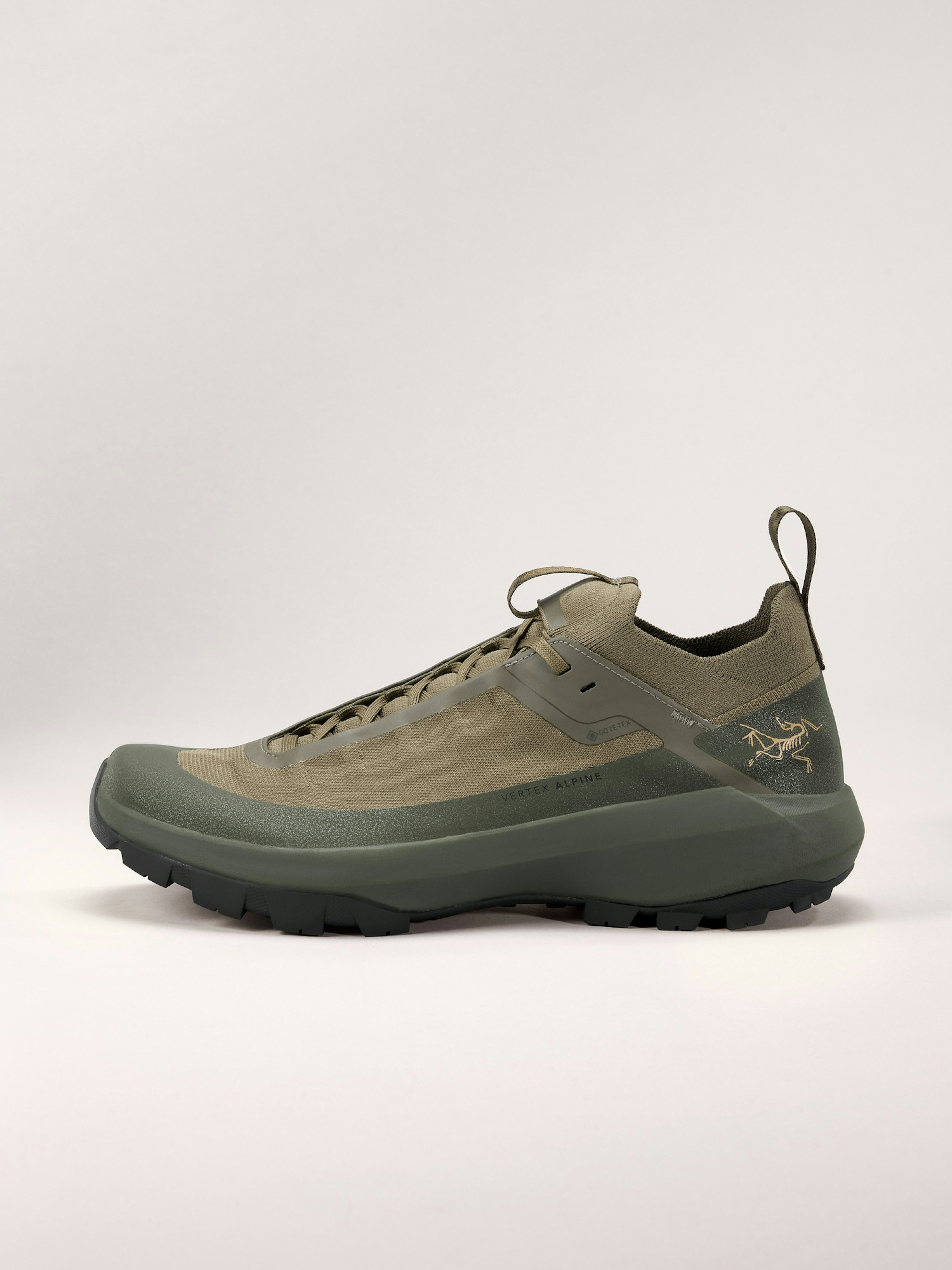 Vertex Alpine GTX Shoe Men's