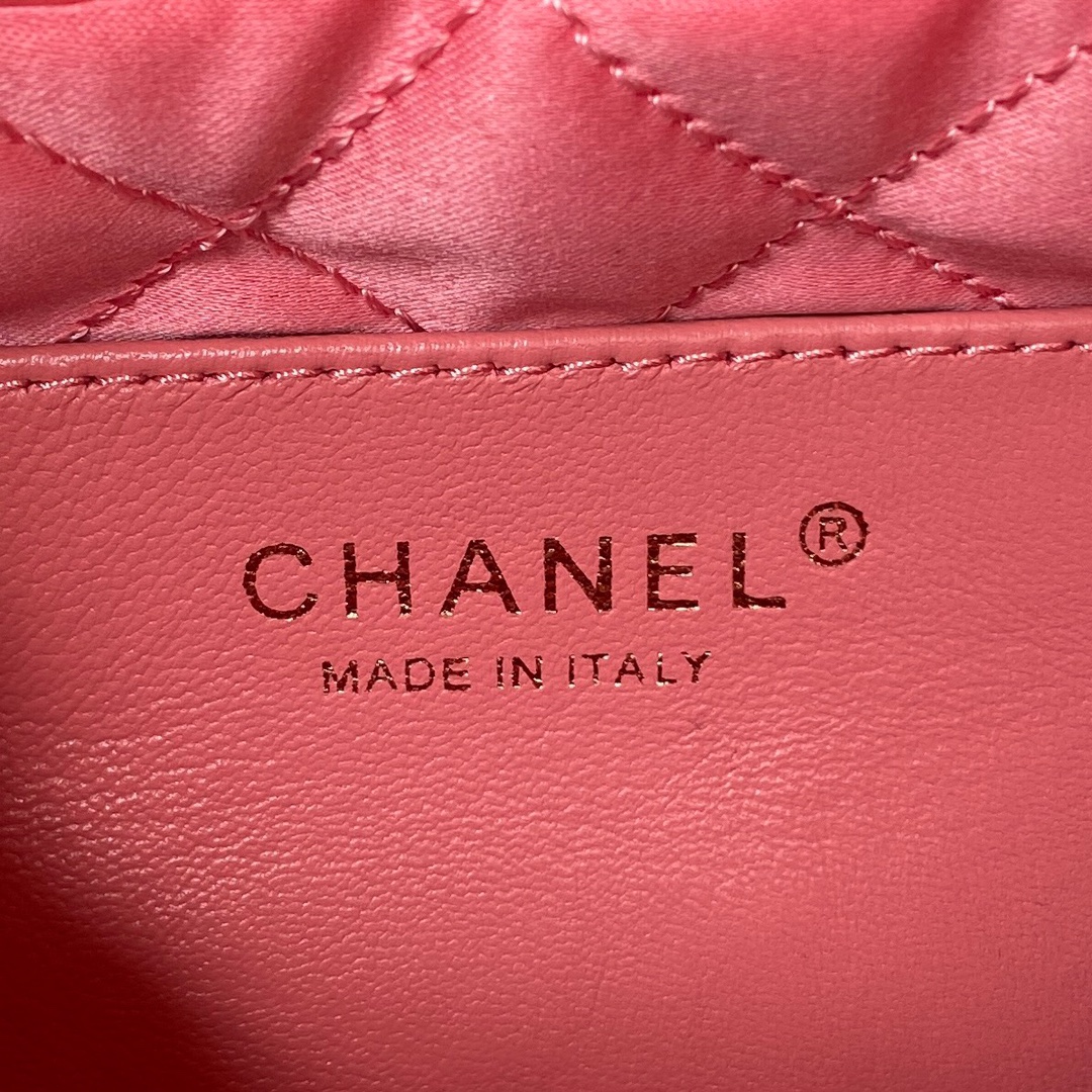CHANEL 22 Mini Handbag Pink-AS3980