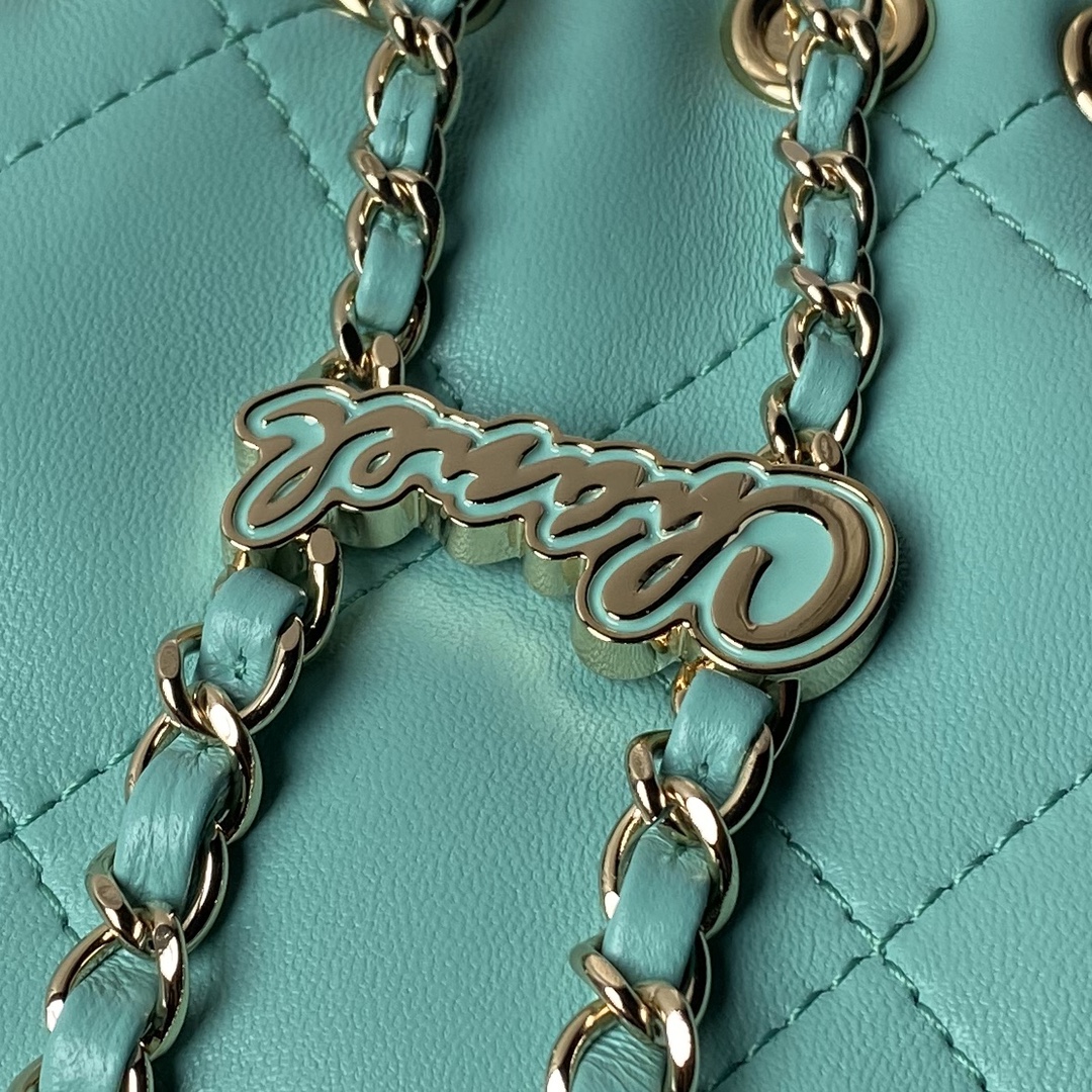 CHANEL Backpacks Shiny Lambskin & Gold-Tone Metal Greener-AS4810