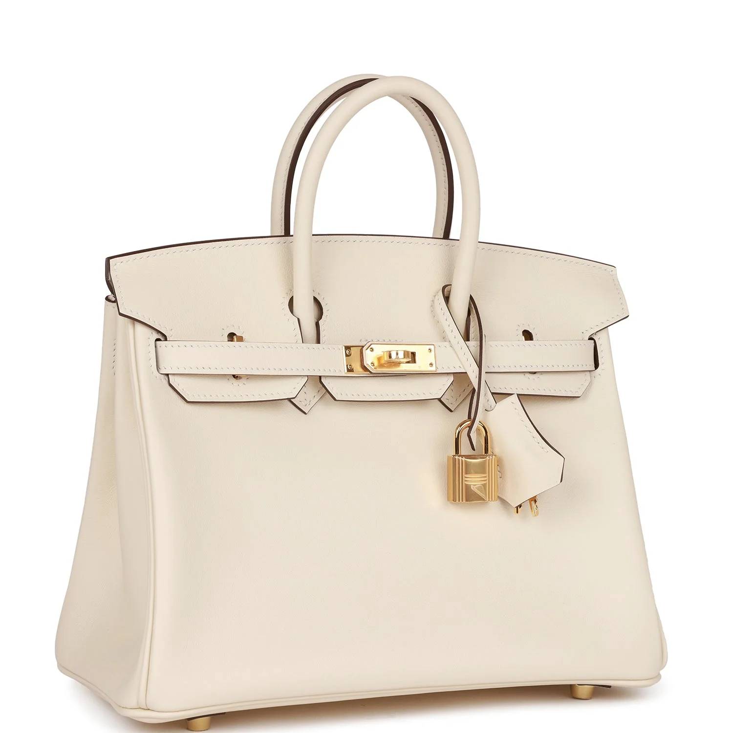 Birkin 25 Nata Swift Gold Hardware