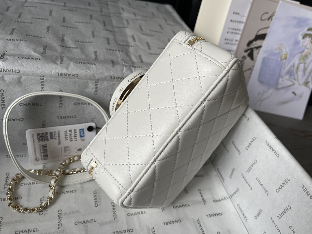 CHANEL Camera bag Sheep leather and gold metal White-AS4817