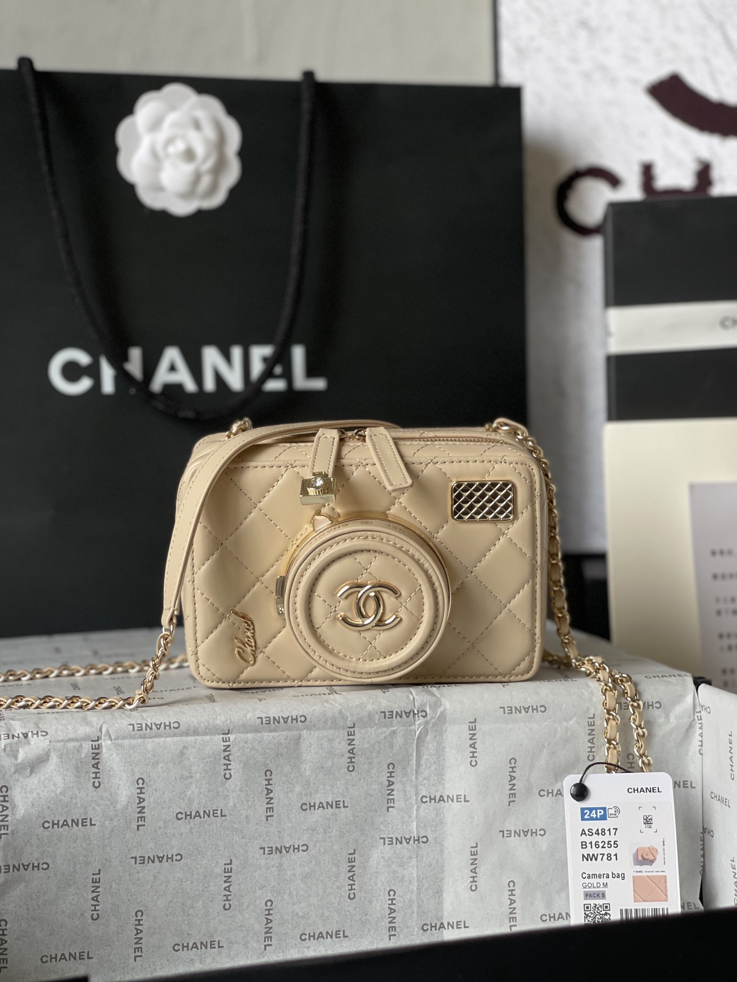 CHANEL Camera bag Sheep leather and gold metal Gold-AS4817