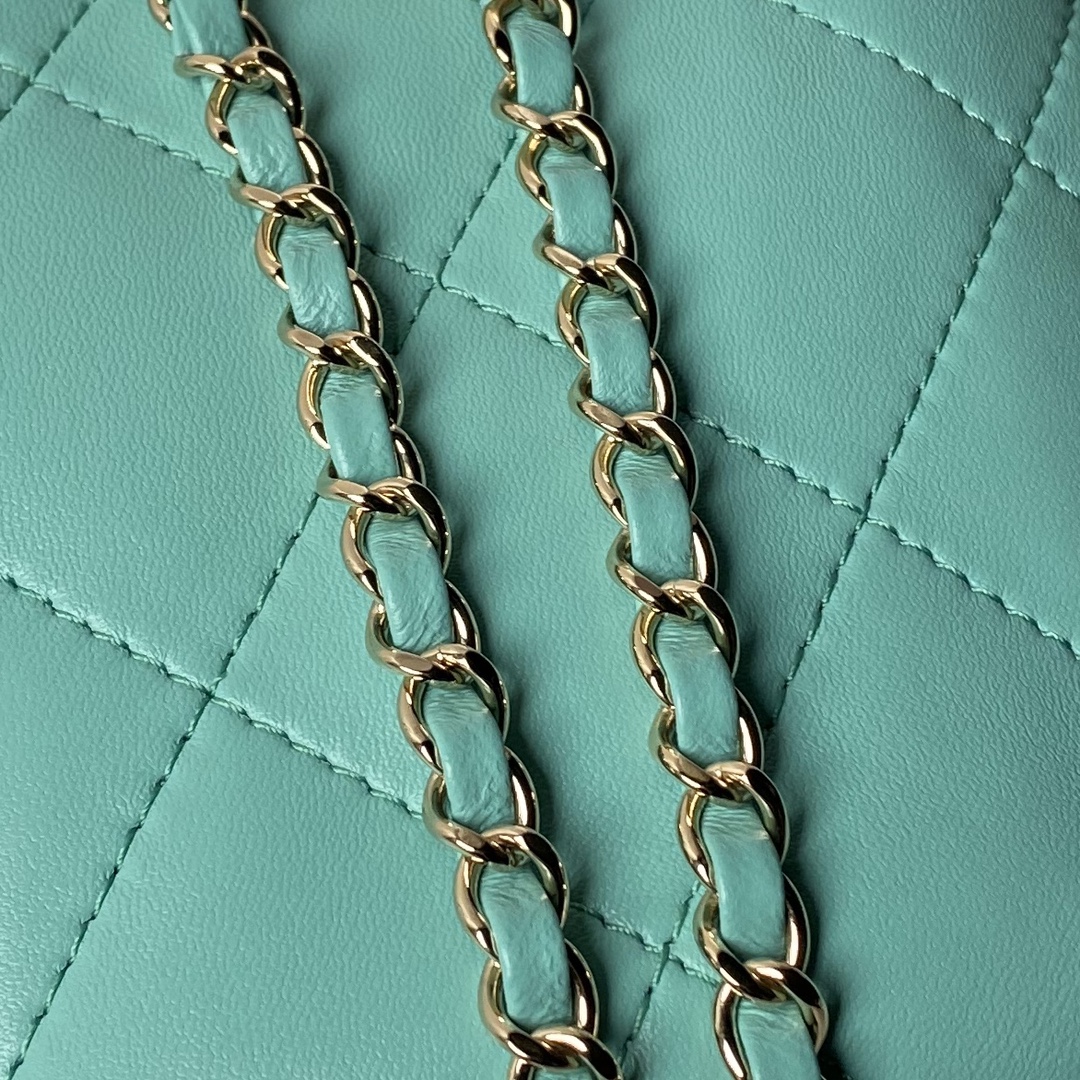 CHANEL Backpacks Shiny Lambskin & Gold-Tone Metal Greener-AS4810