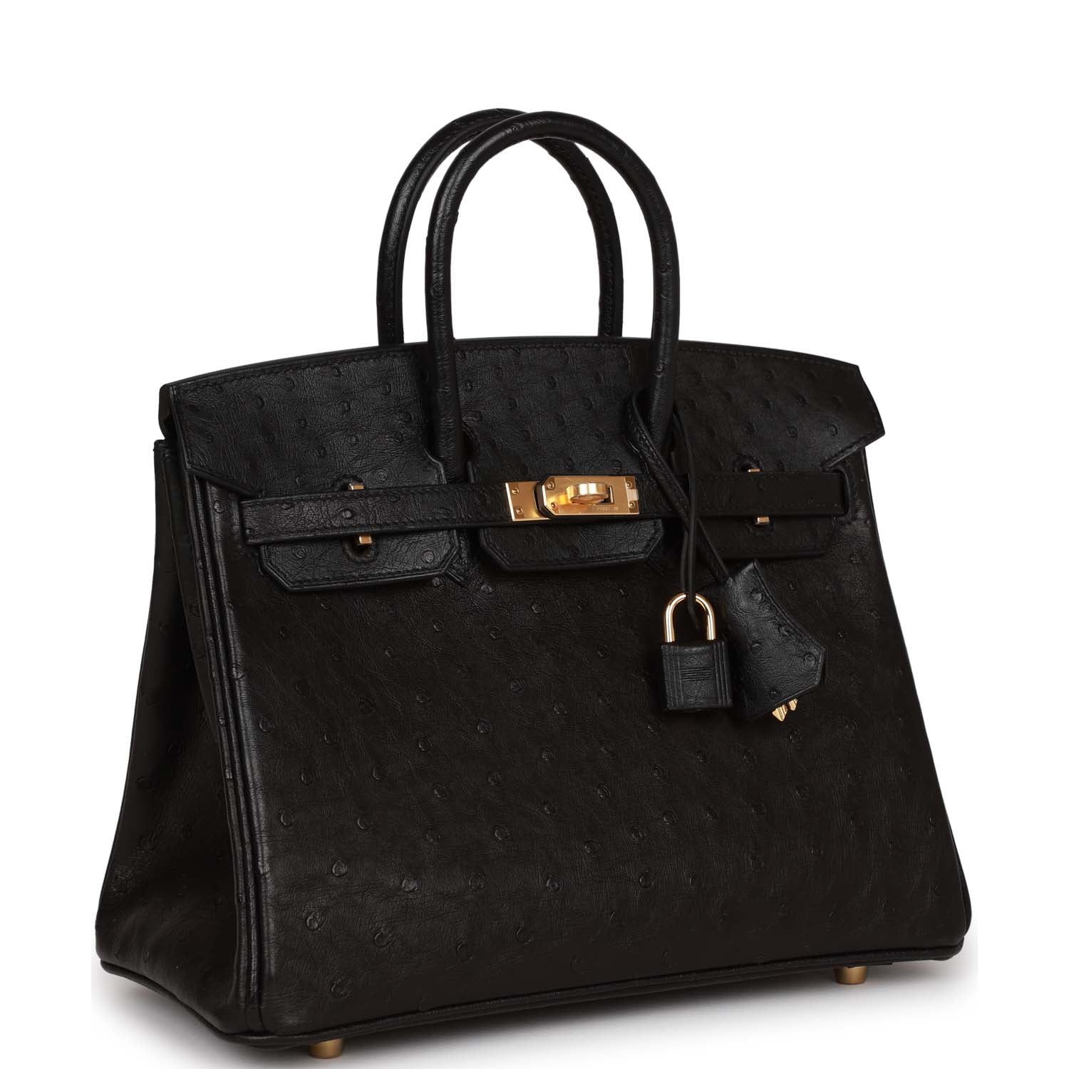 Birkin 25 Black Ostrich Gold Hardware