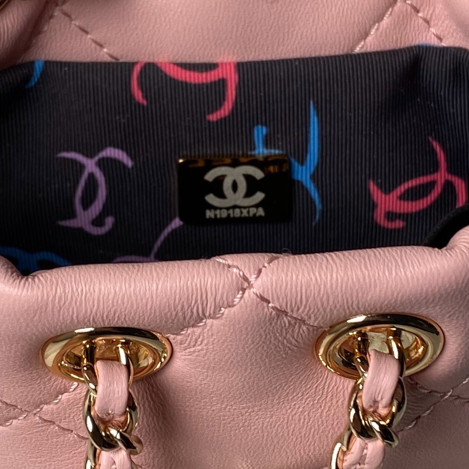 CHANEL Backpacks Shiny Lambskin & Gold-Tone Metal Pink-AS4810