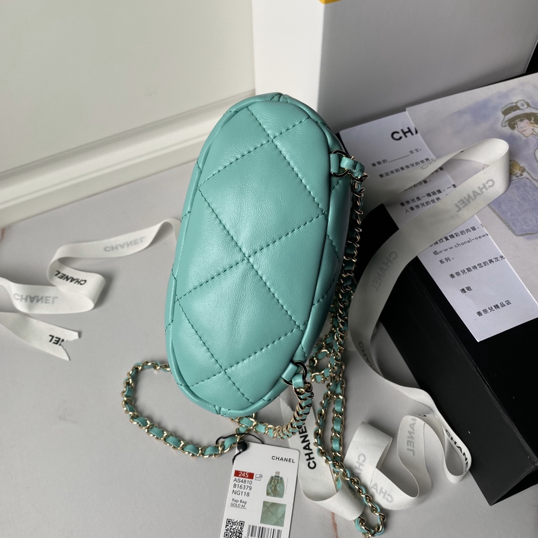 CHANEL Backpacks Shiny Lambskin & Gold-Tone Metal Greener-AS4810