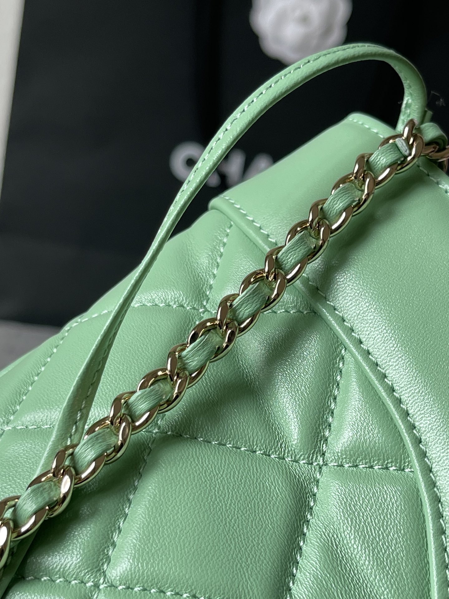 CHANEL Shopping Bag Green-AS4854