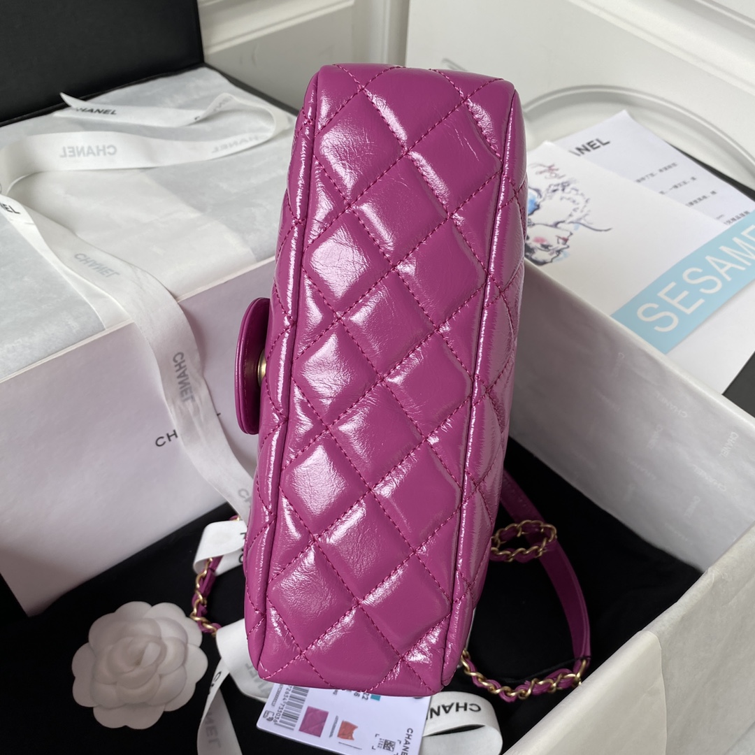 CHANEL Hobo Handbag Pink-AS4322