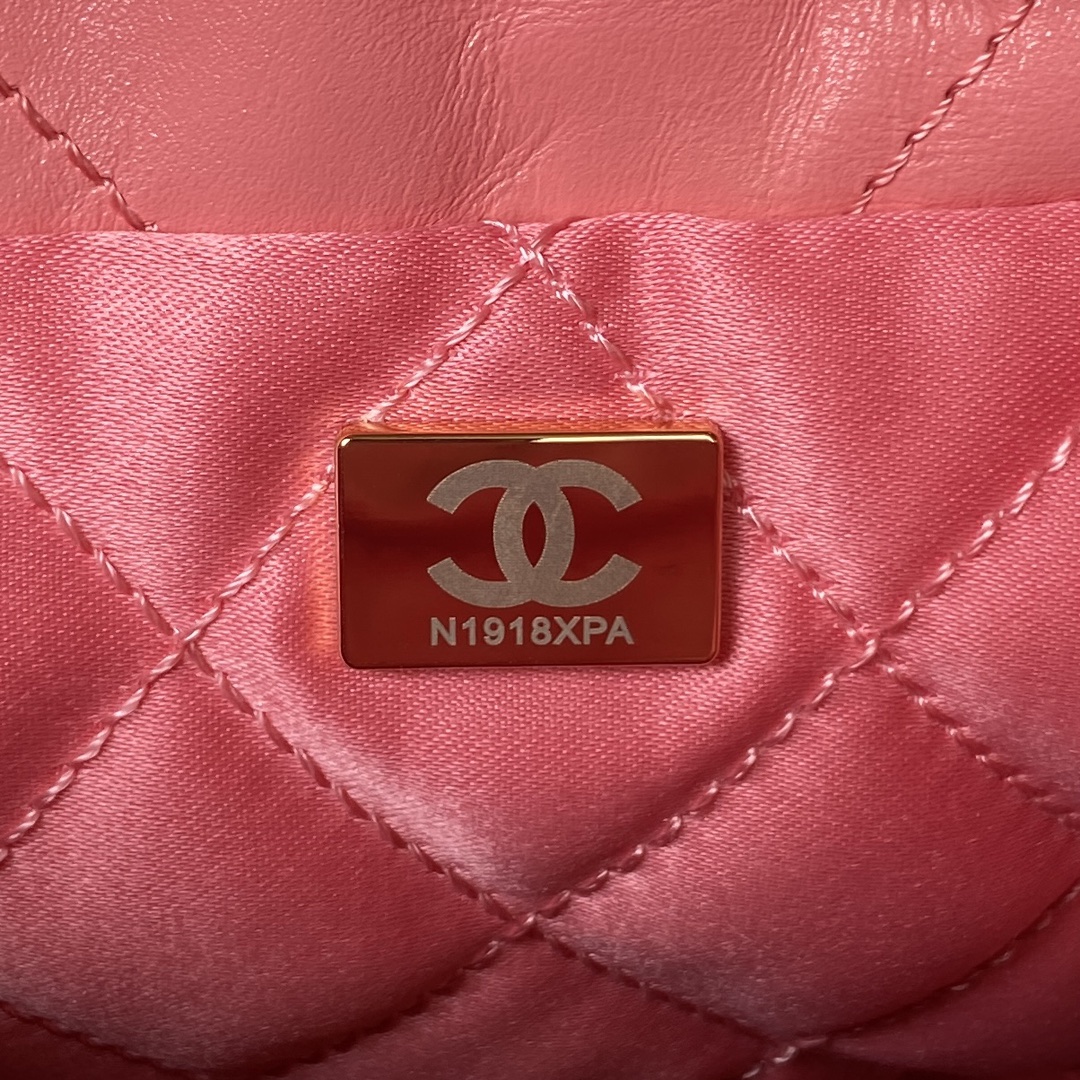 CHANEL 22 Mini Handbag Pink-AS3980