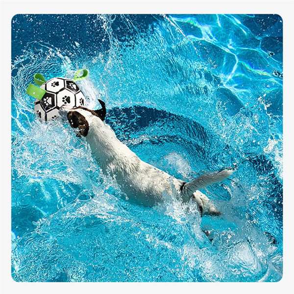 ⚽Dog toy soccer ball with grab tabs - Buy 2 get 10% off&free shipping