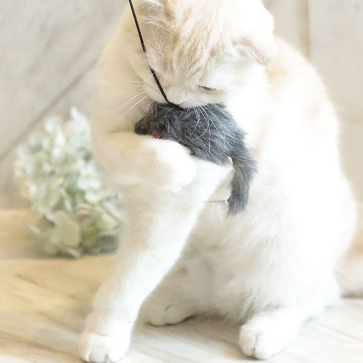Hanging Mouse Interactive Indoor Cat Toy