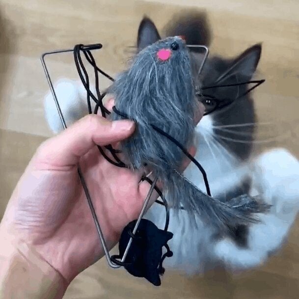 Hanging Mouse Interactive Indoor Cat Toy