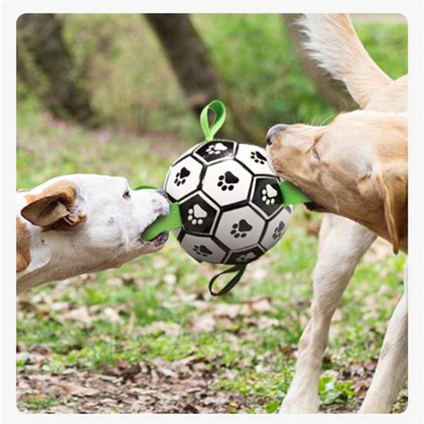 ⚽Dog toy soccer ball with grab tabs - Buy 2 get 10% off&free shipping