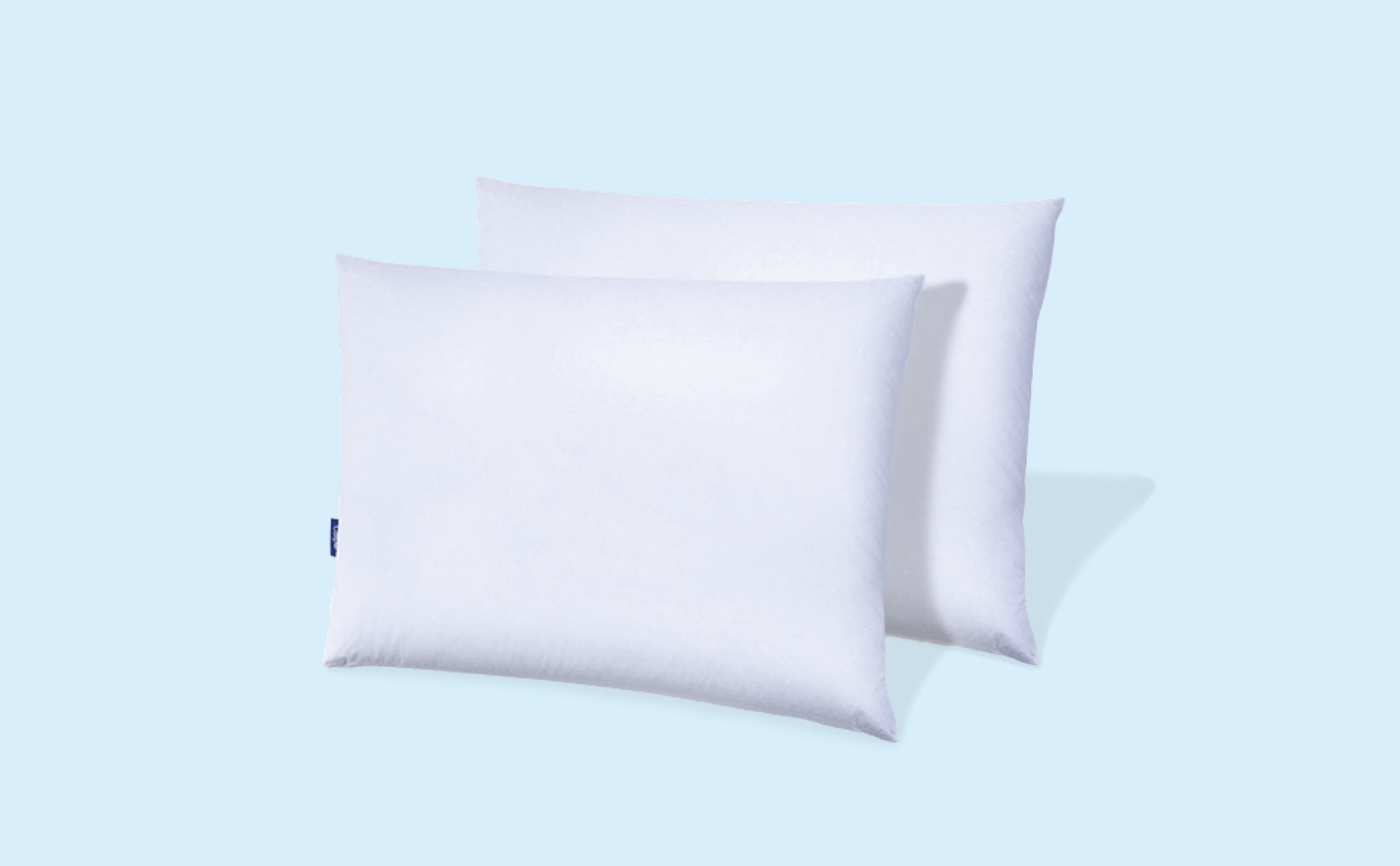 Down Pillow Double Pack