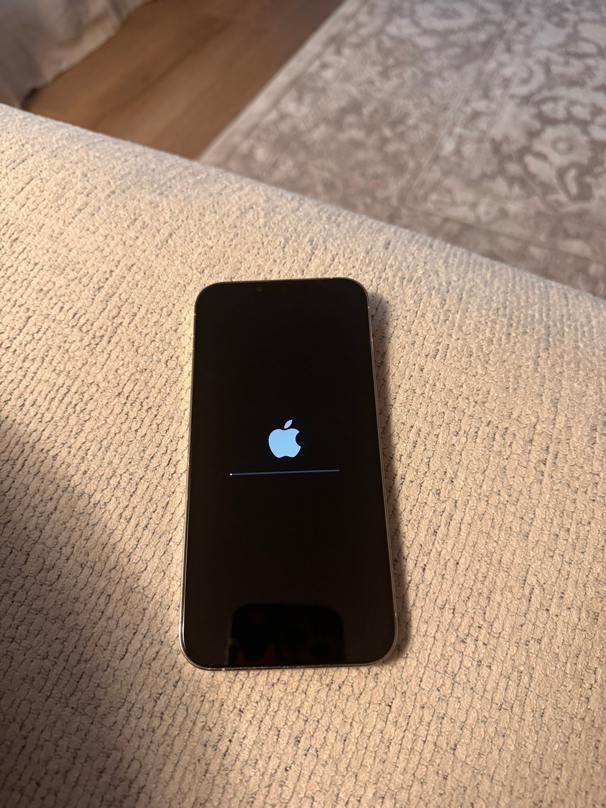 iphone 13 pro Max 2X79