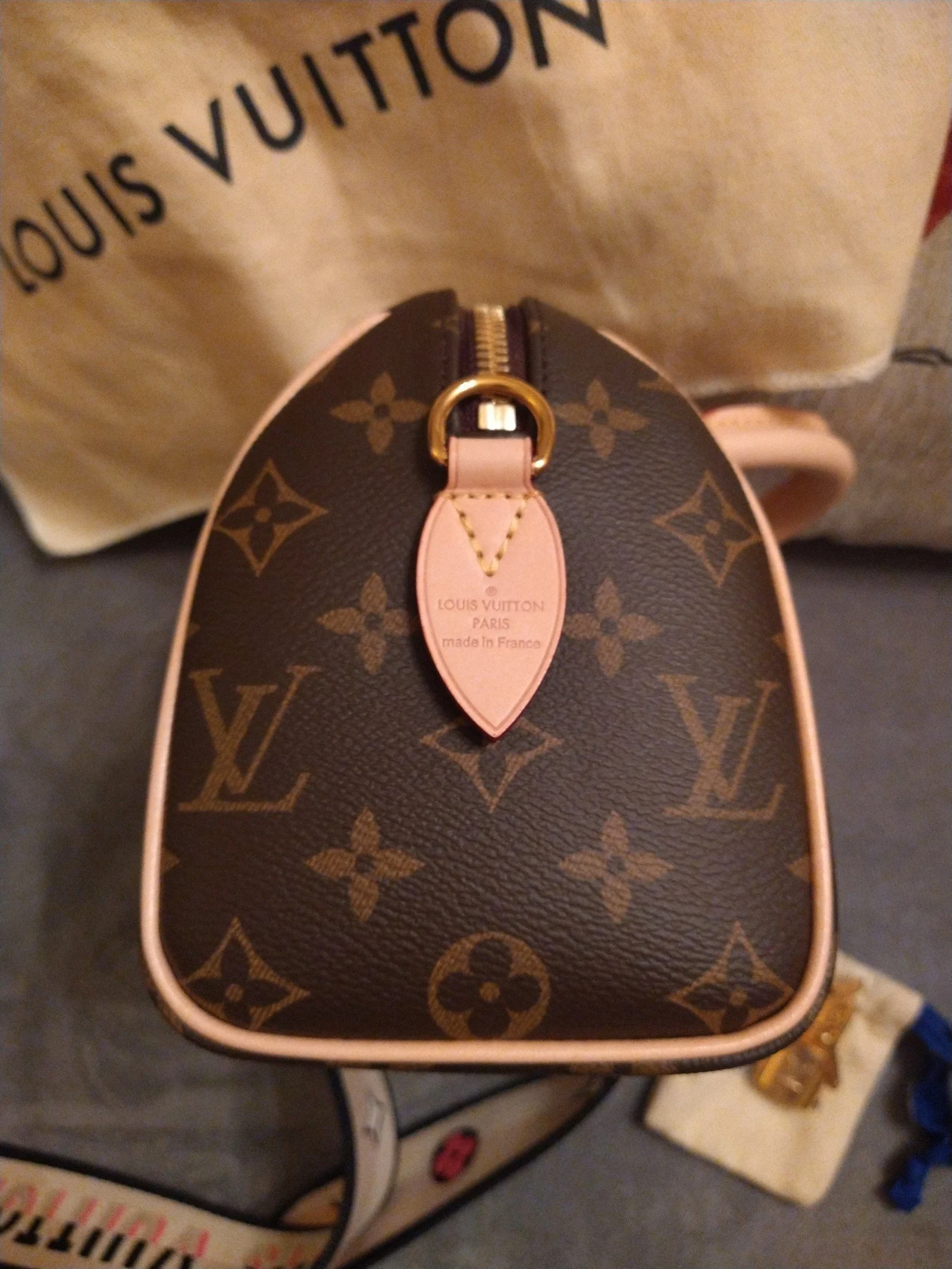 Louis Vuitton Speedy 20 Bandouliere