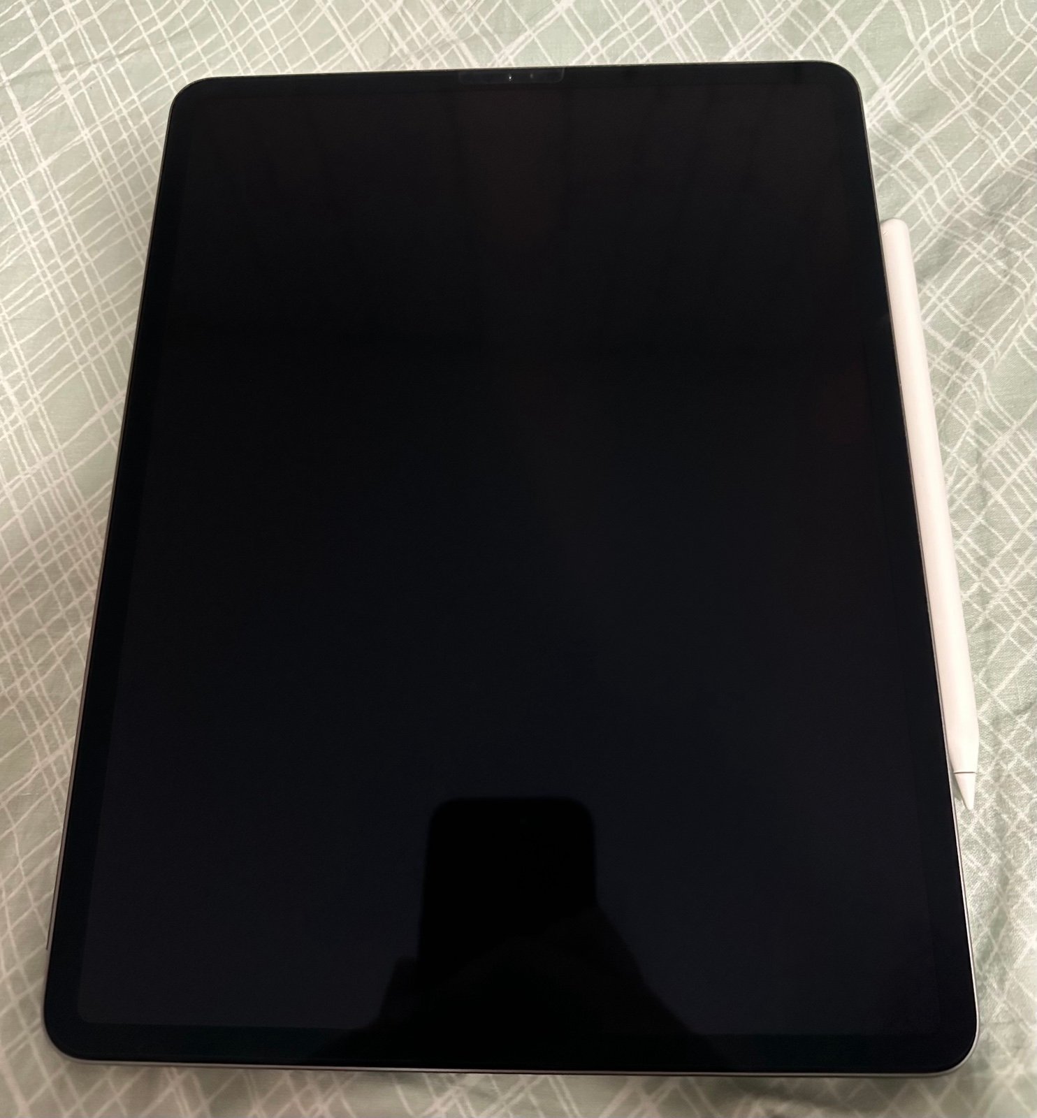iPad Pro 12.9 inch (4th generation) WiFi 256 GB 1L65