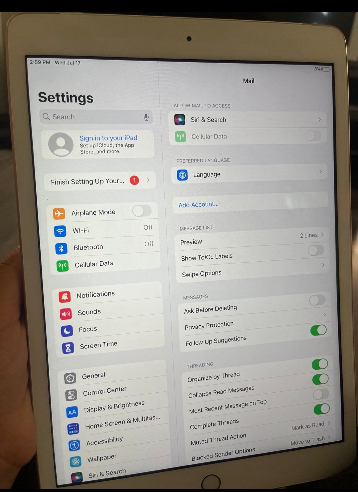 iPad pro and iPad rosegold 6S15