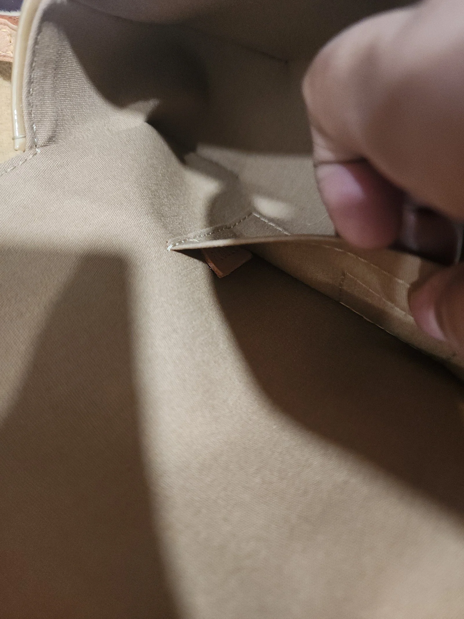 Louis Vuitton Vermis Malibu pochette