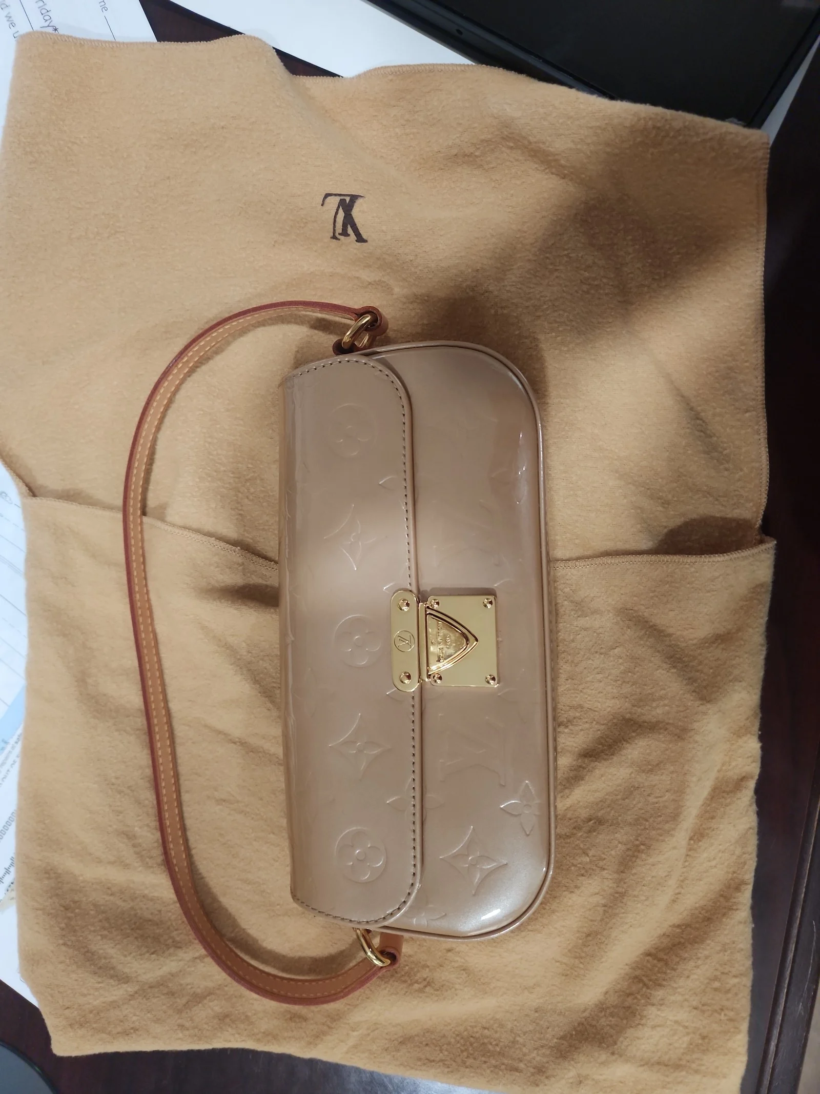 Louis Vuitton Vermis Malibu pochette