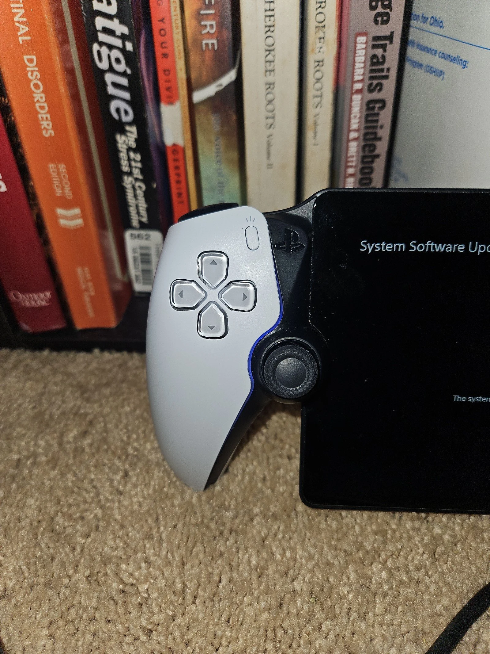 PlayStation portal remote player 8A87