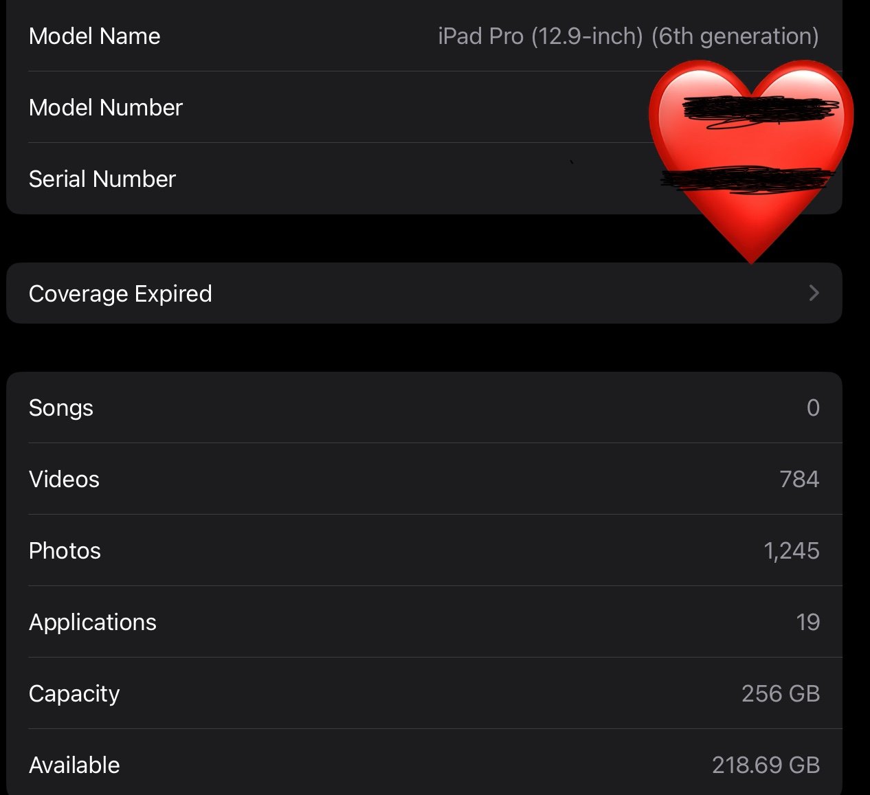 ipad pro 12 inch 6th gen 9Z78