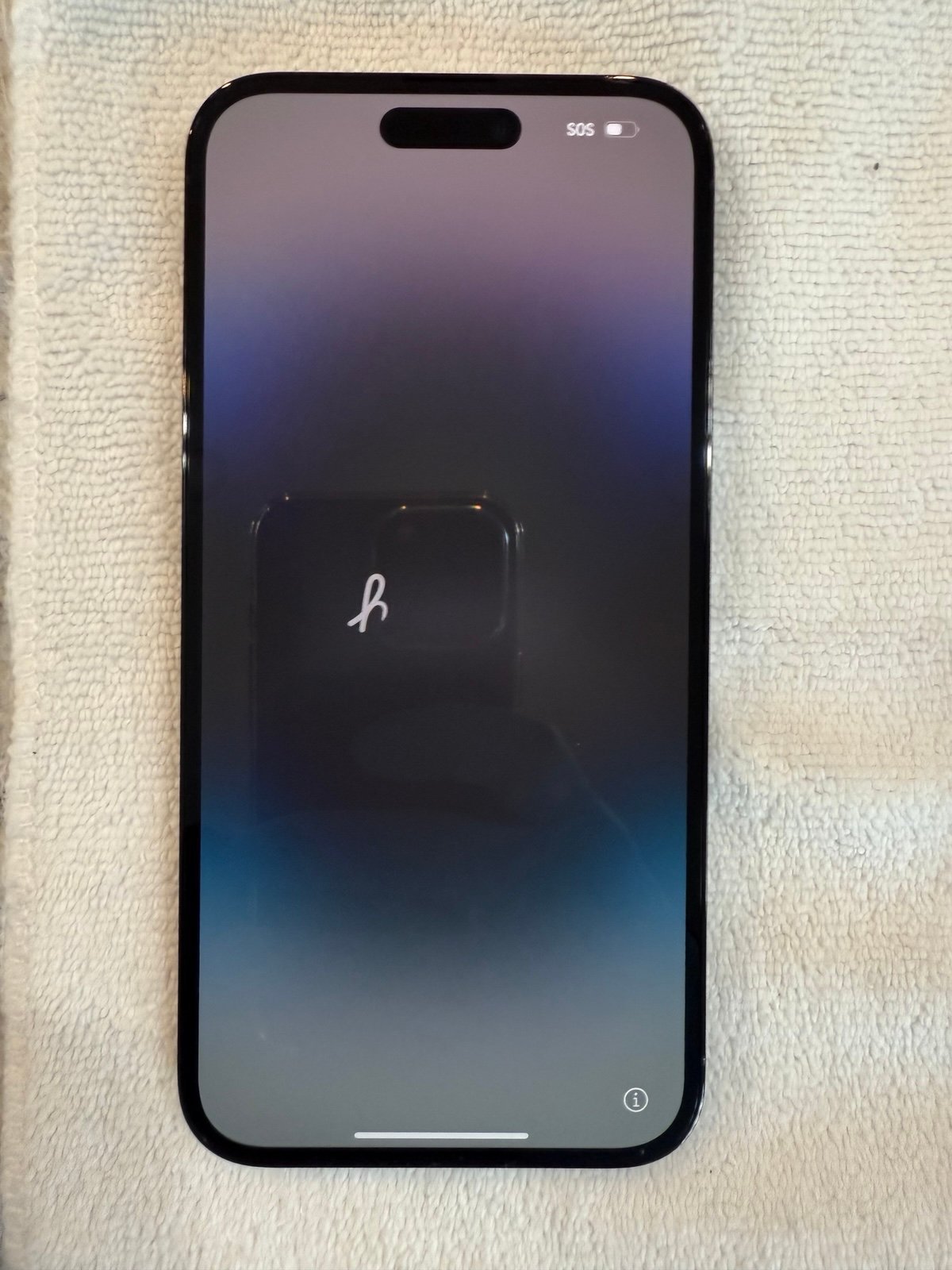 Apple iPhone 14 Pro Max 256 GB in Space Black for Unlocked 1Q71