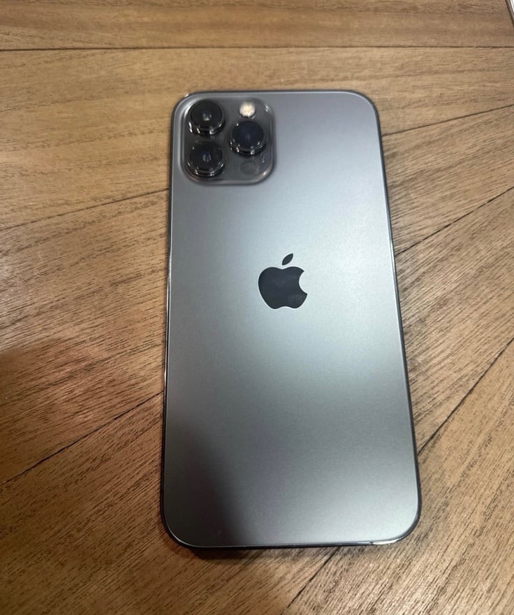 Apple iPhone 12 Pro Max 256 GB Unlocked 3G82