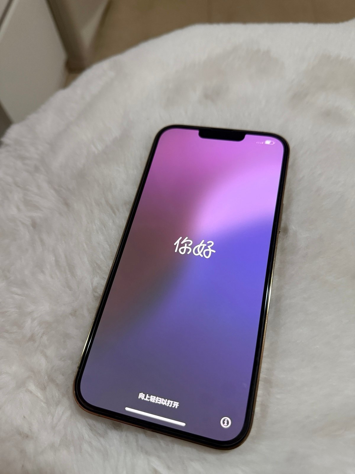 iPhone 13 Pro Max Gold 512 GB Unlocked - In basically brand new condition!!! 1Y27