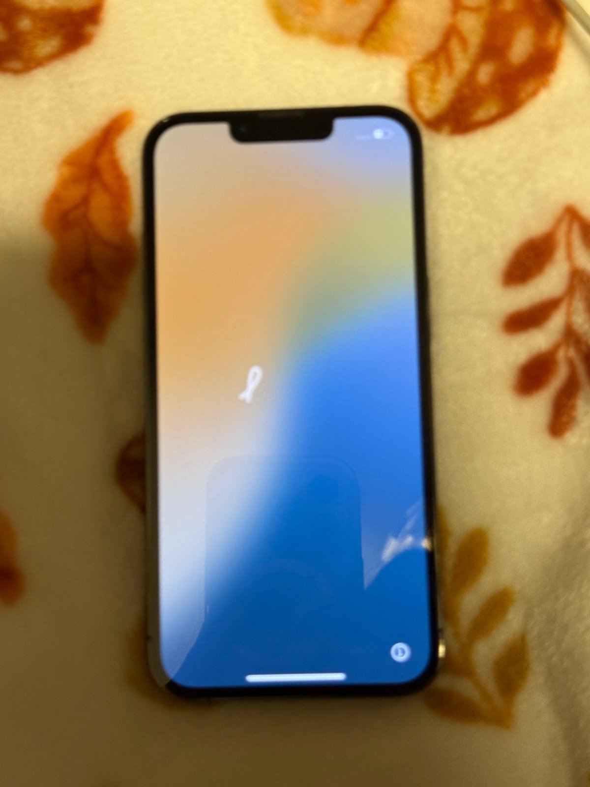 iphone 13 pro unlocked  ON HOLD 2L87