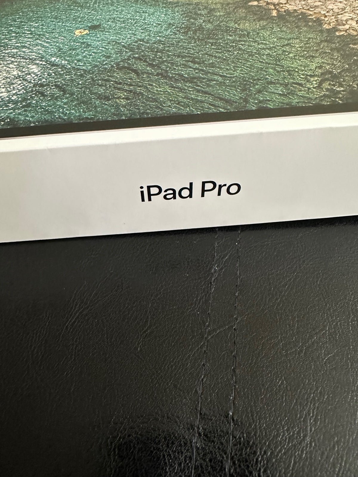 iPad Pro 2S77