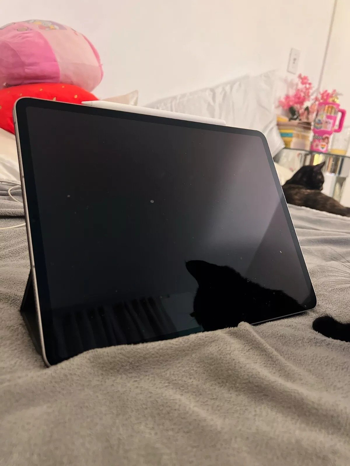 iPad Pro 12.9 6th Generation 1TB WiFi+Cellular 6X77