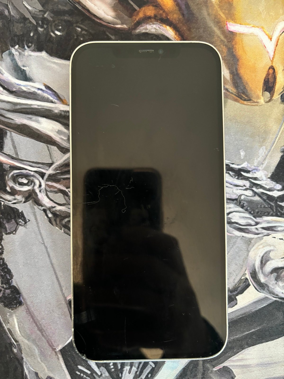 Apple iPhone 12 Pro Max 256 GB 3J71