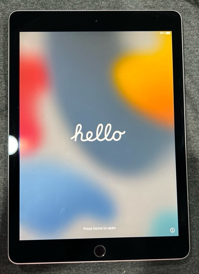 iPad Pro 1st generation Space Gray 256 GB 1X61