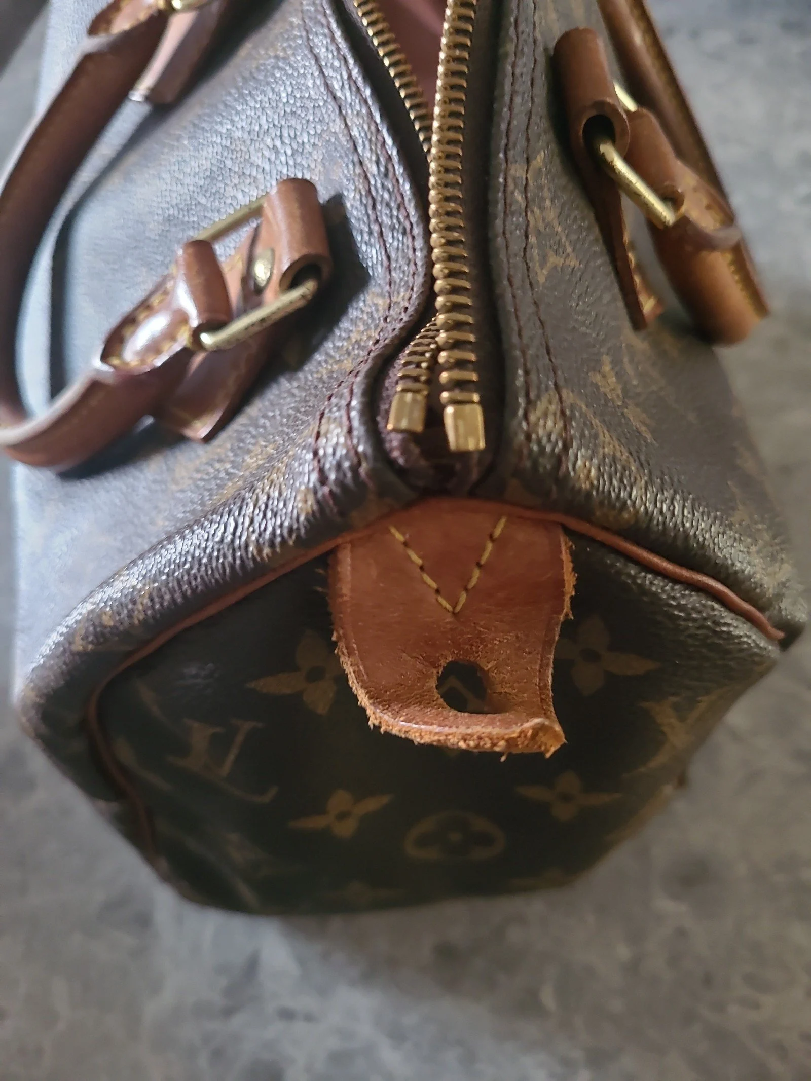 Louis Vuitton Speedy 25 Purse