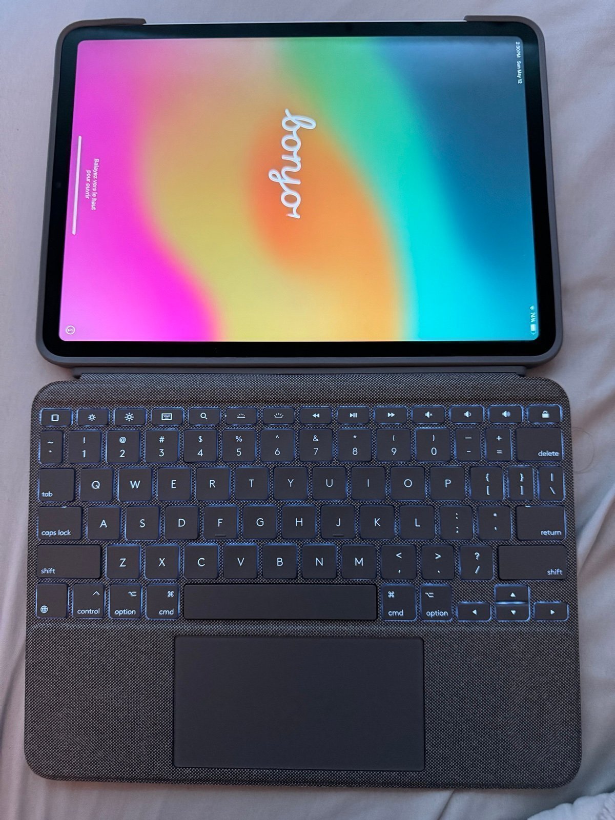 Apple iPad Pro 4th Generation M2 128 GB Silver Cellular w/ Logitech kb case 2P79