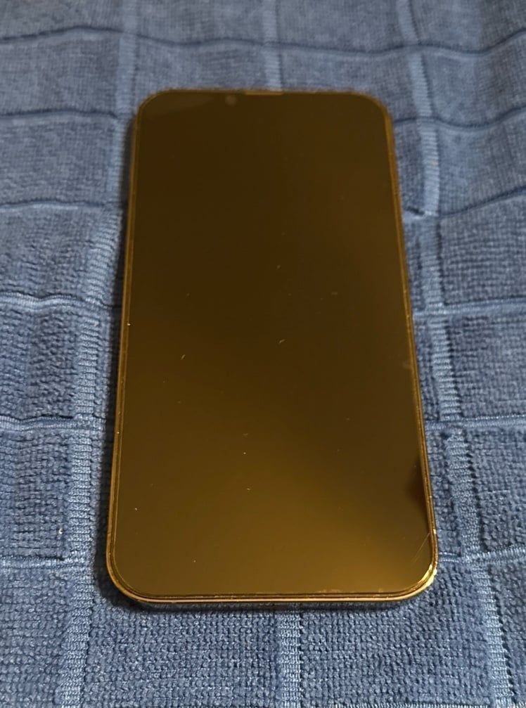 iPhone 13 Pro Max 256GB 7F78