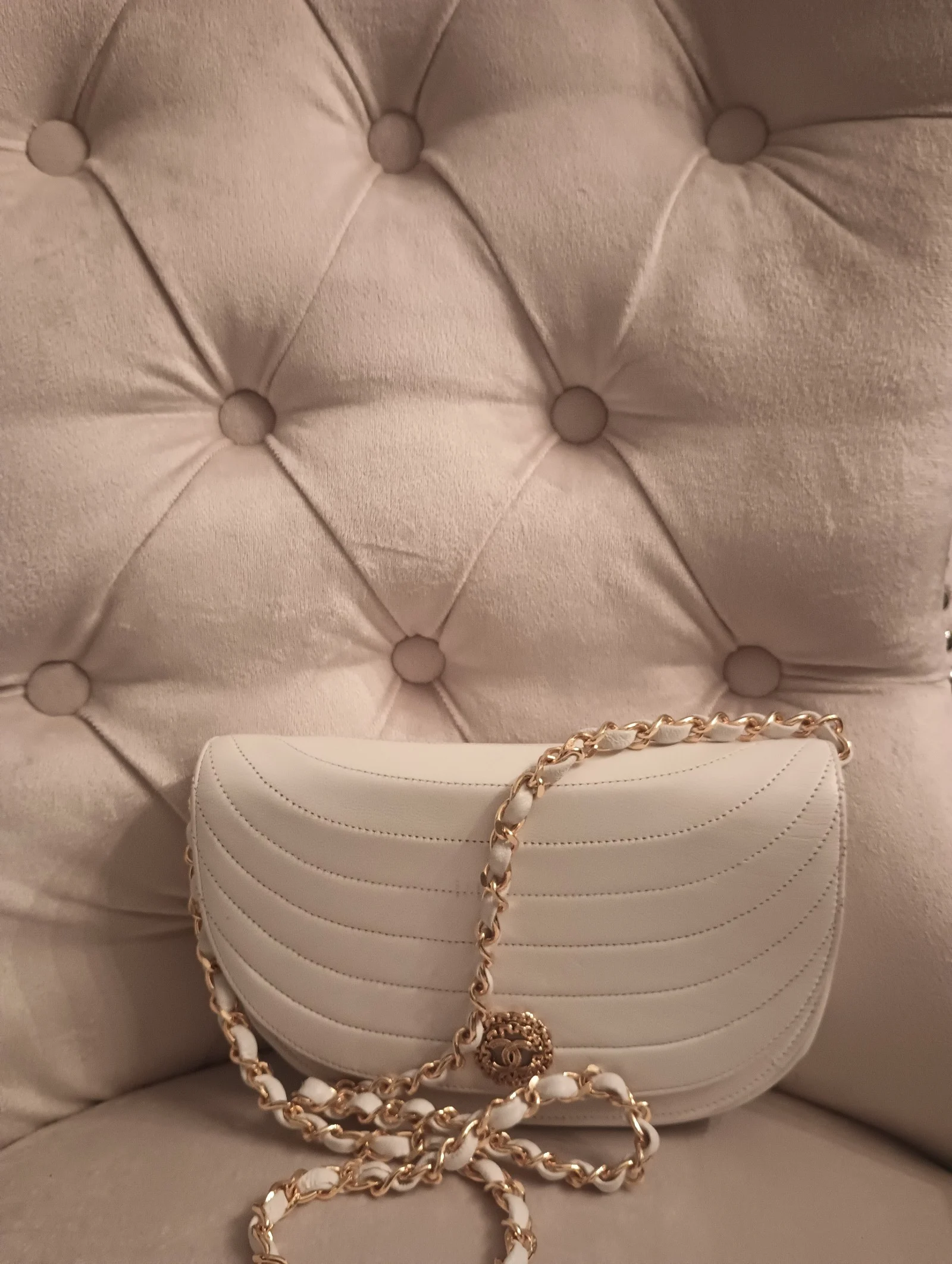 Chanel Timeless Half Moon Crossbody Flap Bag