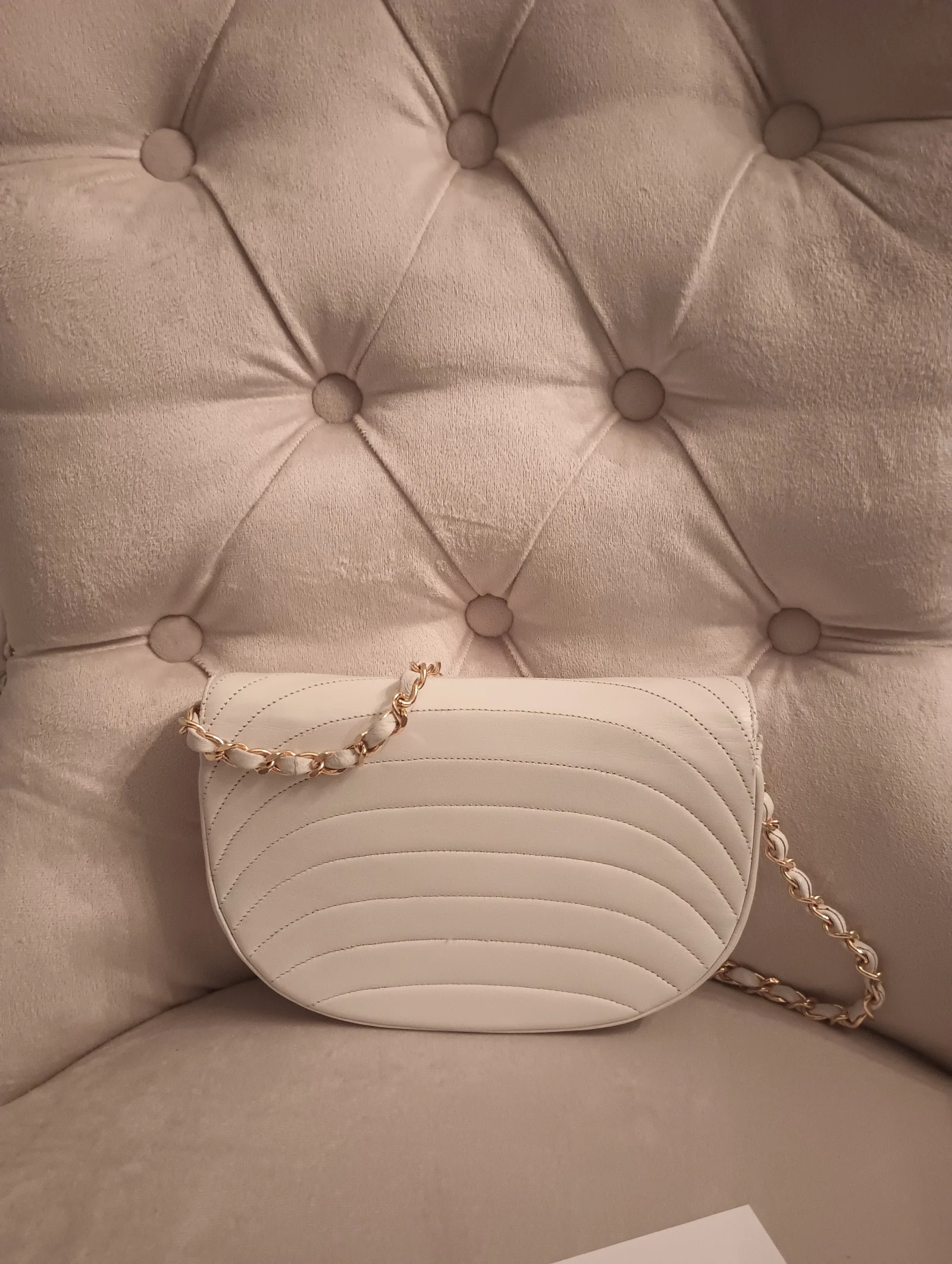 Chanel Timeless Half Moon Crossbody Flap Bag